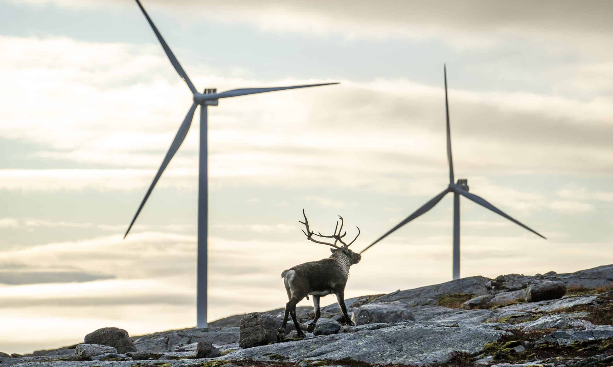 Ny studie: Regn bryter ned vindturbiner og sprer mikroplast i naturen