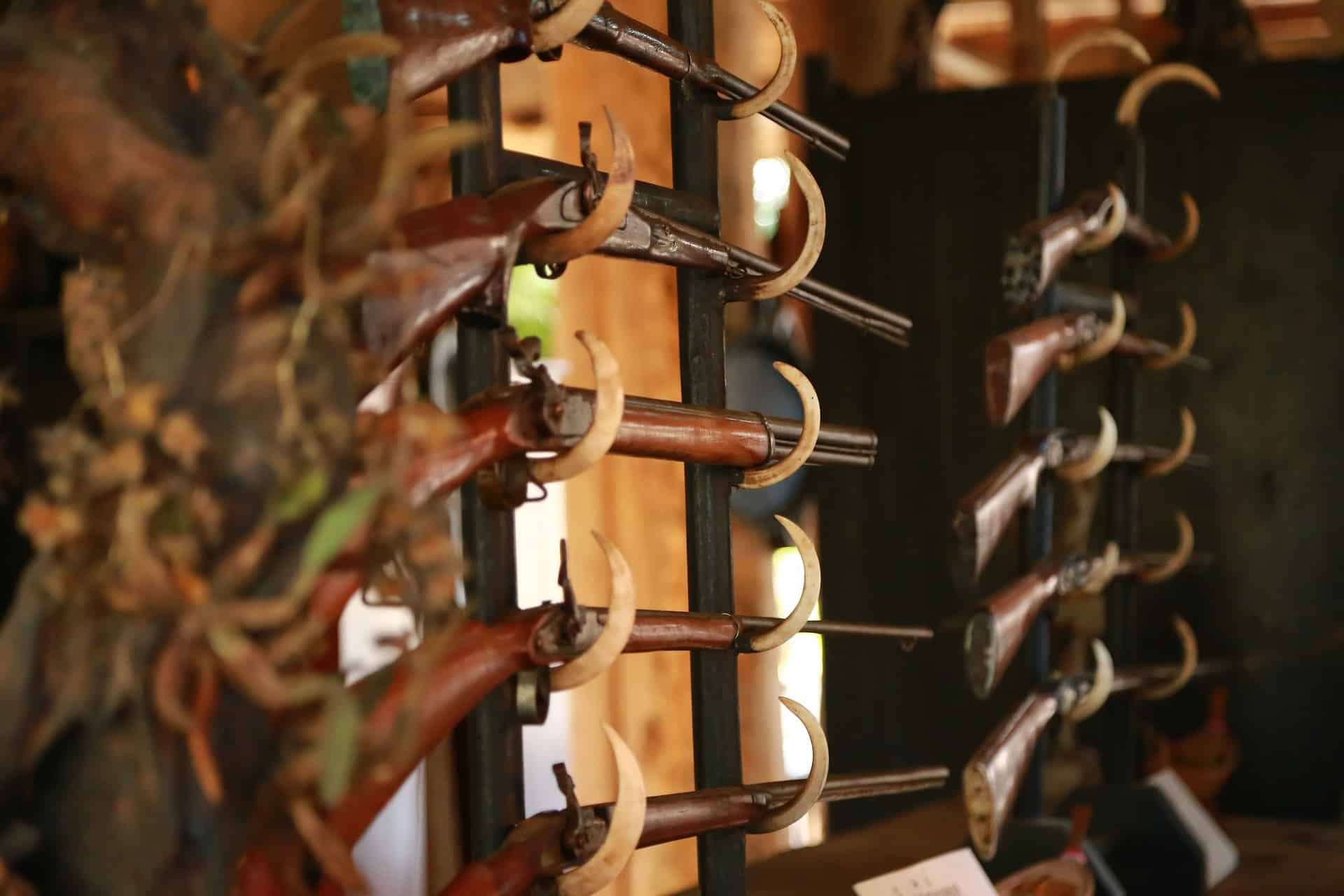 ドイツの裁判所はAfD党員が武器を所有できないとの判決を下した