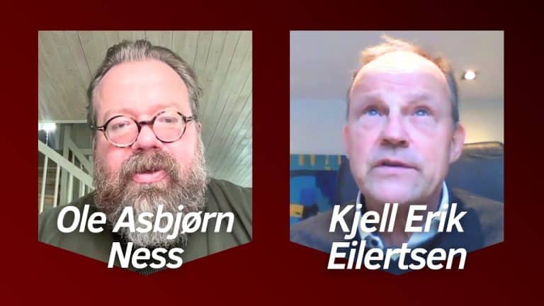 Slik vil INP fikse strømprisen