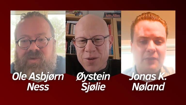 – Fastpris på strøm er stupid populisme