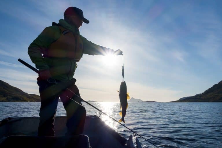Advarer mot ulovlig fiskesalg på Facebook