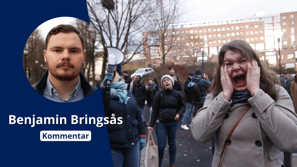 9 år med ikke-vestlig innvandring: Tilsvarer 25 års forsvarsbudsjett