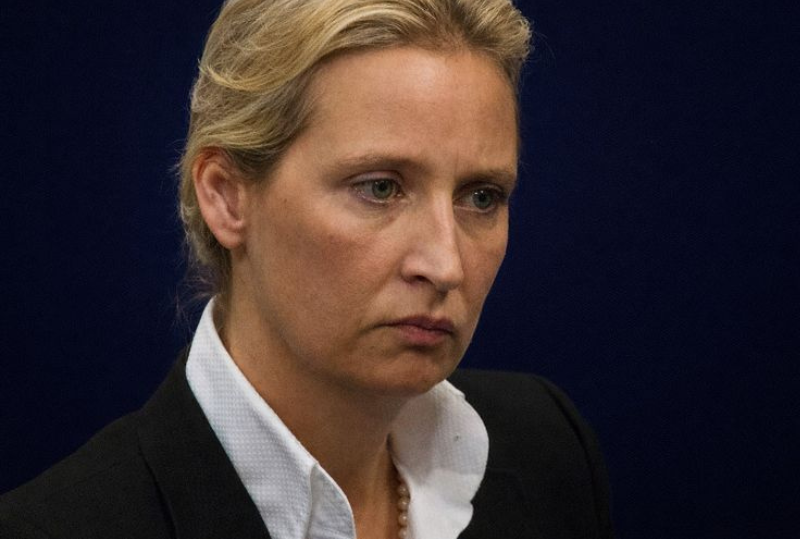 Nær historisk maktskifte – dette er AfDs plan (+)